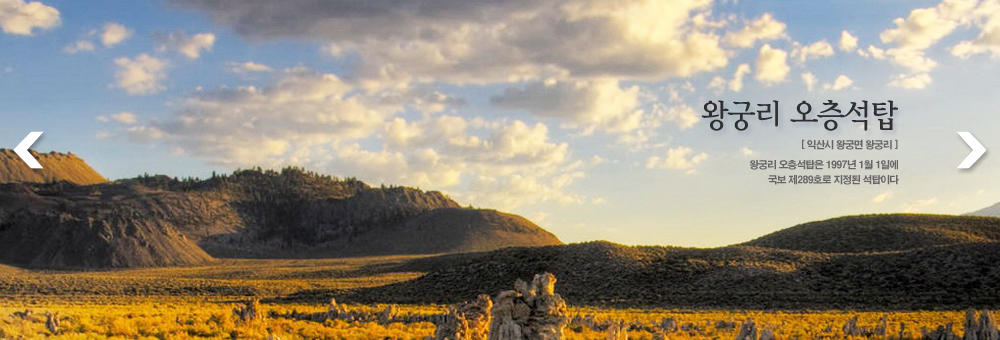 ձø ž [ͻ ձø ձø] - ձø ž 1997 1 1Ͽ   289ȣ  ž̴.