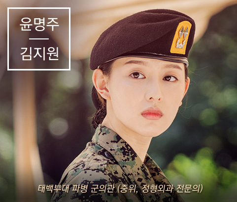 Descendants of the Sun